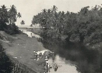 Folyói táj Dehiwalában, Colombo és Mount Lavinia között, 1926
