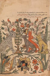 Oroszlánrendet viselő leopárd bírótársaknak, Folio 51 recto a Kalila wa Dimnából, 18. század.