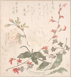 Liliom, ibolyák, cseresznyevirágok, forszitia és a vörös juhar ága, 18-19. század.