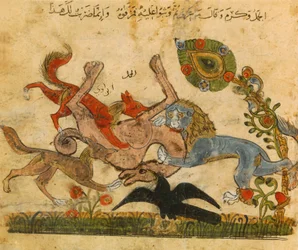 Oroszlán ver egy tevét, Kalila Wa-Dimna, arab-spanyol mesekönyv, 13. század.