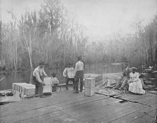 Narancsok betöltése az Ocklawaha folyón, Florida, 1897.