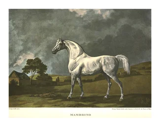 Mambrino, c1779, c1955.