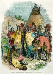 Mandan indiánok, gyógyemberrel medvebőrben, 1875