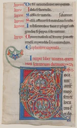 Kéziratos megvilágítás V kezdőbetűvel, egy Bibliából, kb. 1175-95.