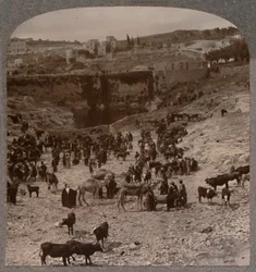 Piacnap a Gihon-medencénél, 1900