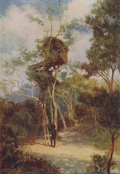 Melanéz faház, 1924