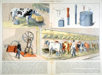 Thistle szívó- és pulzációs fejőgéppel felszerelt fejőház, 1899