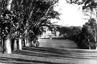 Edgcumbe-hegy, 1882