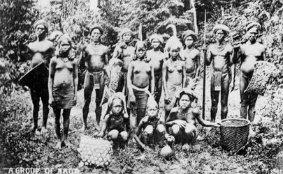 Naga nép, India, XX. század