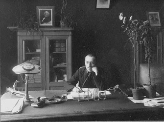 Nikolaj Alekszandrovics Miljutyin 1889-1942