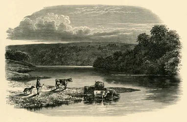 A Dee-n, 1890.