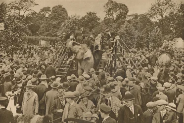 Civilizációnk egyik jele: jól felszerelt állatkertek a kíváncsiskodók örömére, c193