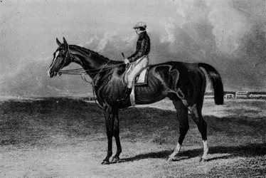 Orlando, 1841-1860, 1911