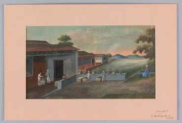 Csomagoló tea ládákban, 1890–1910