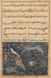 Oldal a Papagáj meséiből Tuti-nama: Tizenegyedik éjszaka: A tenger teremtményei c. 1560.