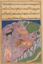 Oldal a Papagáj meséiből Tuti-nama: Huszonegyedik éjszaka: A Brahman..., c. 1560.