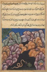 Oldal a Papagáj meséiből Tuti-nama: Huszonhatodik éjszaka: A kígyó belép..., c. 1560.