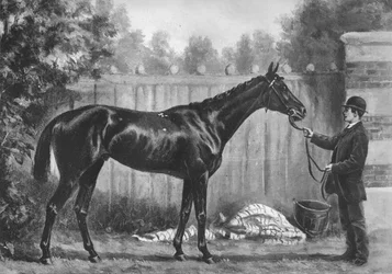 Paradoxon, 1882-1890, 1911