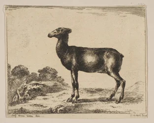 15. tábla: őzike, Különféle állatokból Diversi animali, 1641 után.
