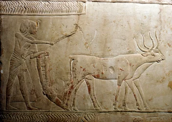 Szántás egy egyiptomi sztéléből, 18. dinasztia, Kr.e. 1332-1323