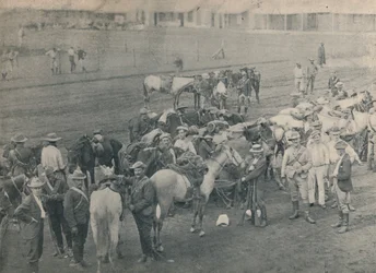 Vízvezeték-szerelők Ló, c1900.