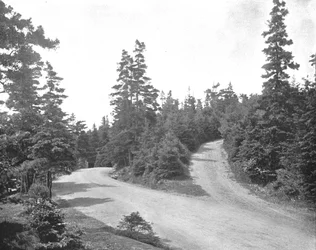 Point Pleasant Park, Halifax, Nova Scotia, Kanada, 1900. sz.
