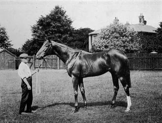 Sarkcsillag, 1911