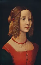 Egy lány portréja, c1490, c1915