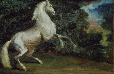 ugráló ló, 180812.
