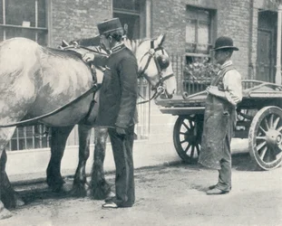 Az RSPCA felügyelő egy lovat vizsgál, c1903 1903