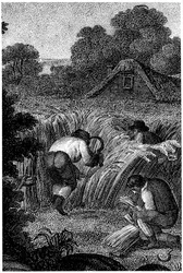 Sarlós aratás és kévék bekötése, Anglia, c1800