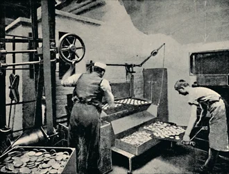 Keksz kivétele a sütőből, c1917