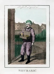 Rebarbara, Russell Square, London, 1805