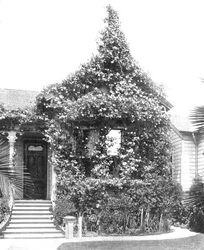 Rose Cottage, South Spring Street, Los Angeles, California, USA, 1900. sz.