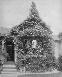 Rose Cottage, South Spring Street, Los Angeles, California, 1897.