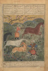 Rustam Captures the Horse Rakhsh, Folio from a Shahnama Book of Kings..., 15. század vége.