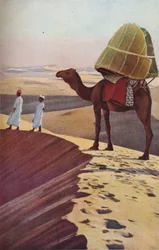 Szahara, 1930-as évek