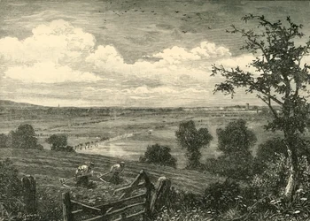 Sedgemoor Middlezoy felől, 1898.