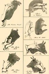 Árnyképek és sziluettek, 1883