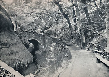 Shanklin - A kínai, 1895