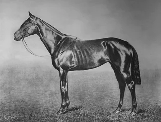 Kisasszony, 1905-1928, 1911
