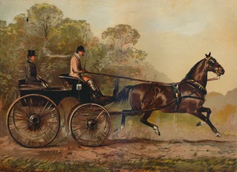 Egy hám Phaeton Horse Columbine. Charles Baynes Esq. tulajdona, 1872, c1879