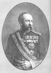 Sir Evelyn Wood, 1882-85