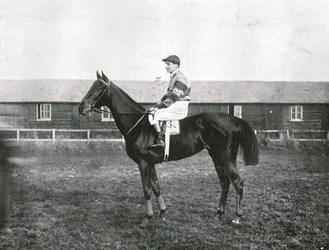 Felhőkarcoló, 1911.