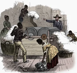 Rabszolgamunka egy amerikai déli államokbeli gyapotültetvényen, 1860