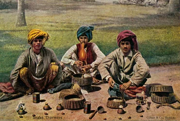 Snake Charmers, c1910.