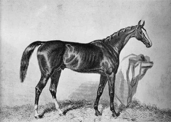 St. Albans, 19. század, 1911