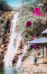 Waterfall-No Can Sound, Japán