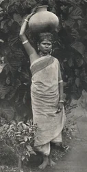 Tamulin vizet hoz, 1926