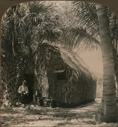Nádfedeles kunyhó Cocoanut Grove-ban, Floridában, Amerikai Egyesült Államok, 1900